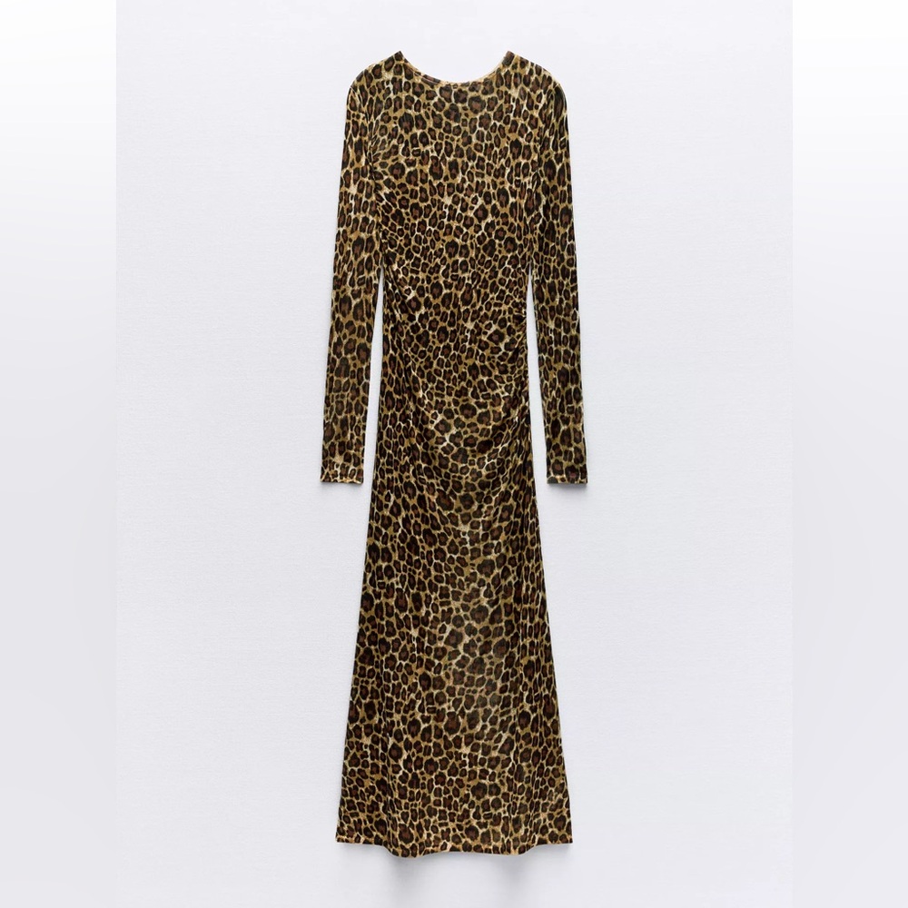 Zara Leopard Print Long Sleeve Dress